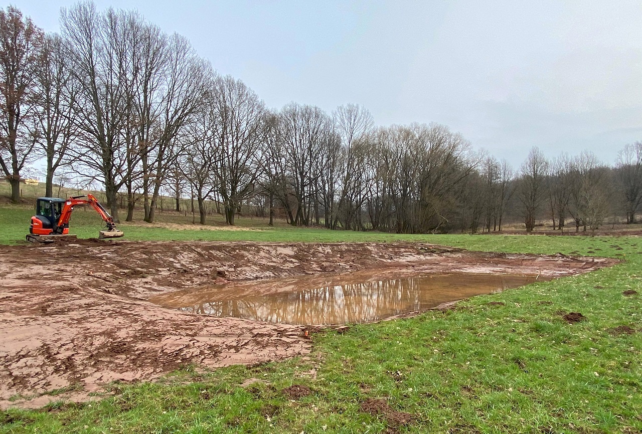 Small bodies of water not used commercially are veritable biodi - Bild 2